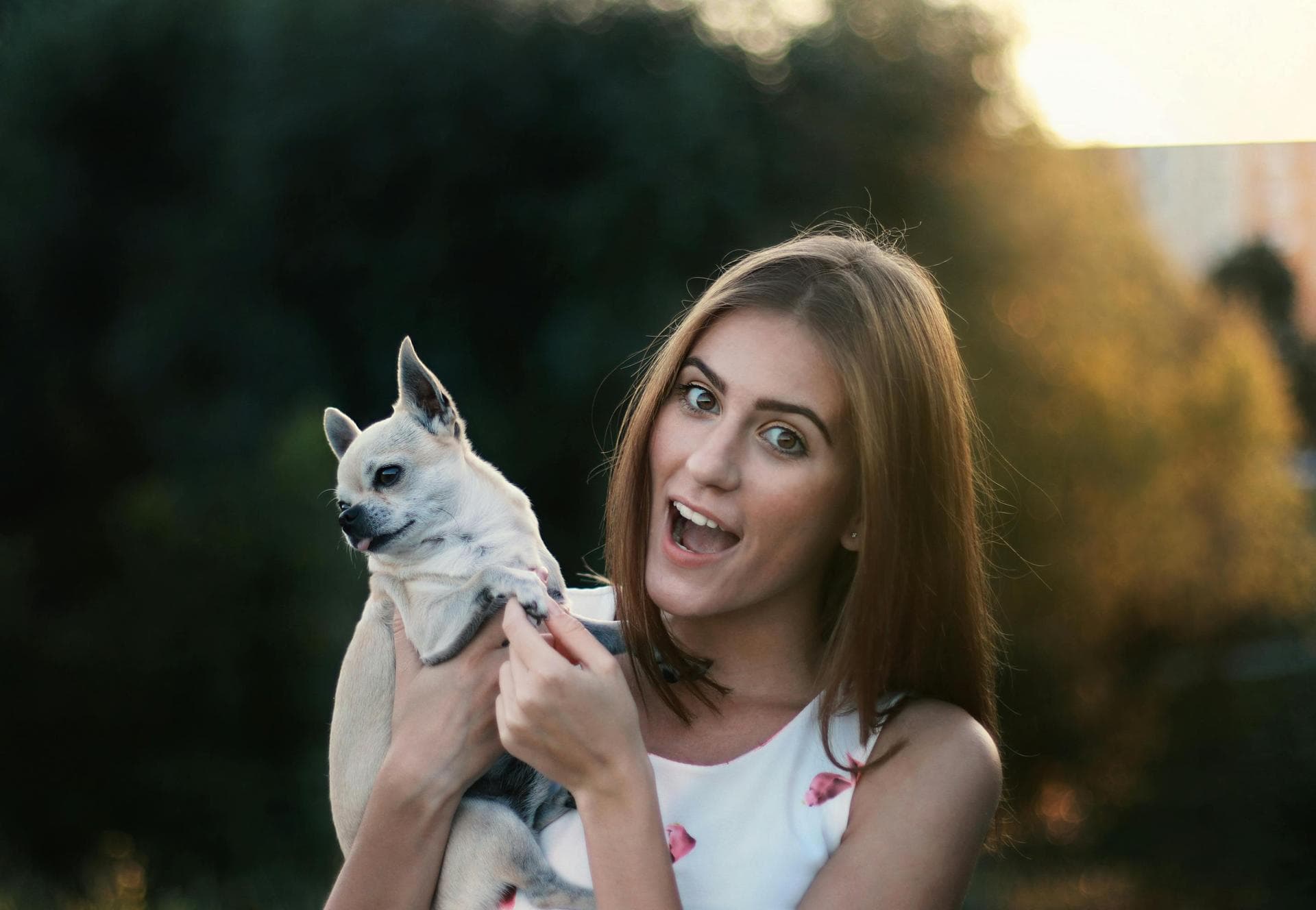 Follow-up Vet Appointment Prices in Blackburn