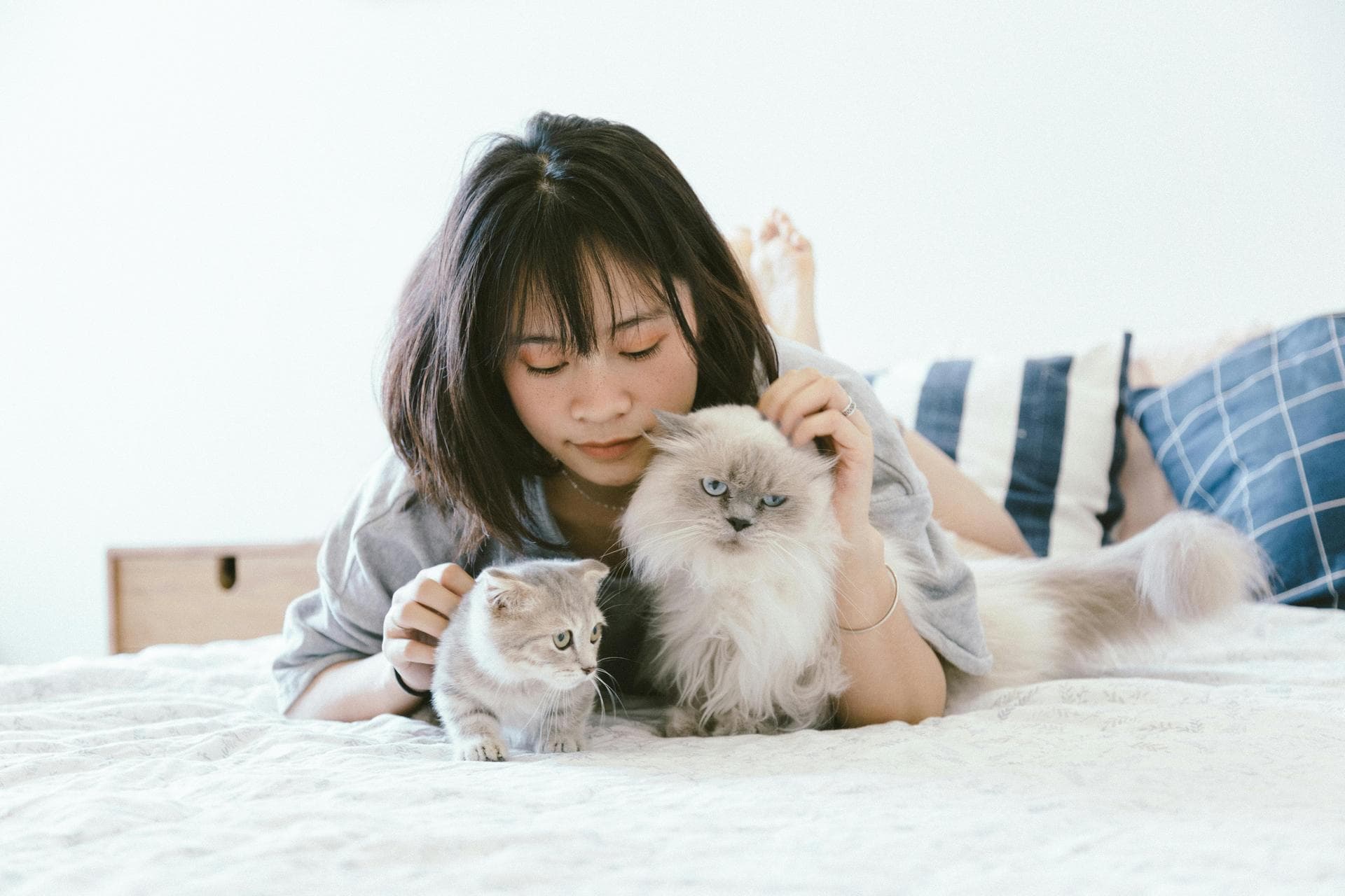Dog Spay Castrate Neutering Prices in Blackburn